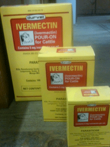 ivermectin